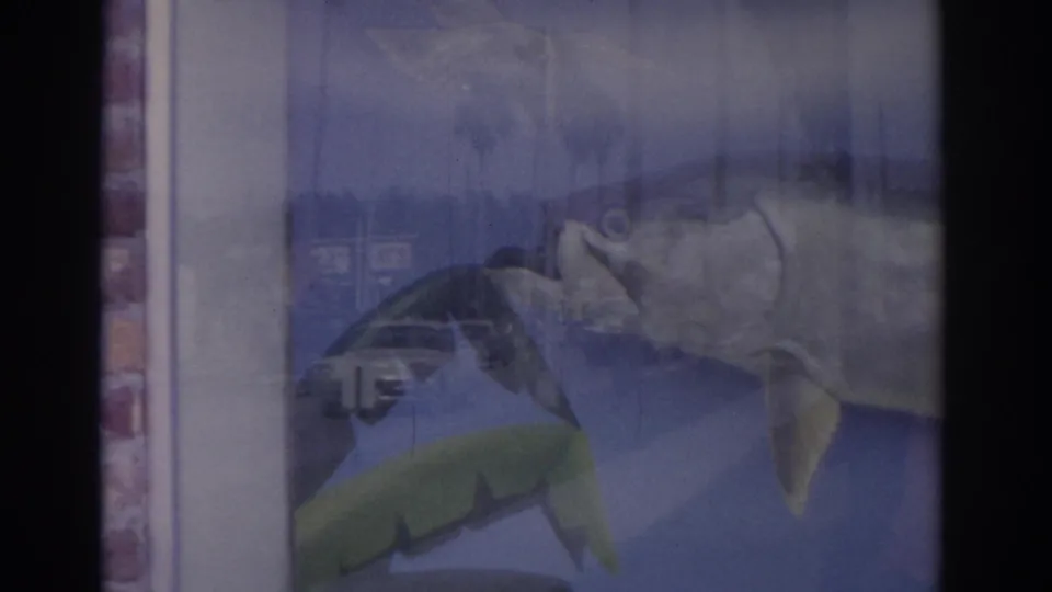 1962 Florida frame showing the mounted tarpon display at an angle, with another fish form and street reflections visible in the glass.