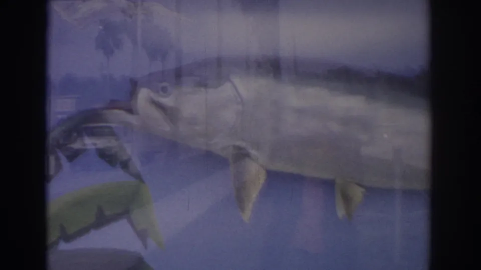 The mounted fish fills the frame, with blue-purple color shift and reflected outdoor shapes on the display glass.