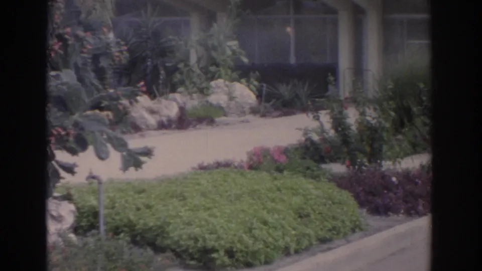 1962 Florida 8mm frame of a manicured tropical bed, walkway, rocks, cactus, and windowed facade.