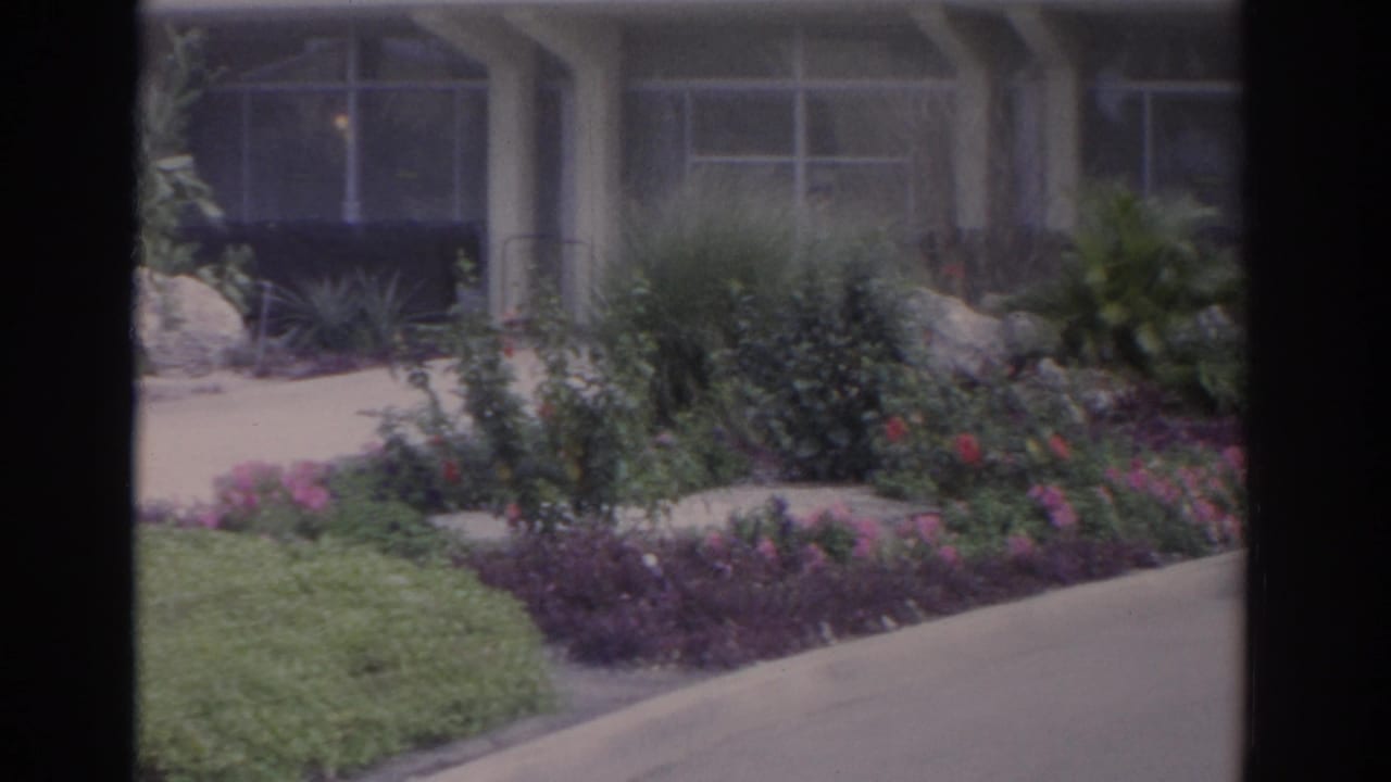 Garden walkway with flowering beds, shrubs, rocks, and large windows behind.