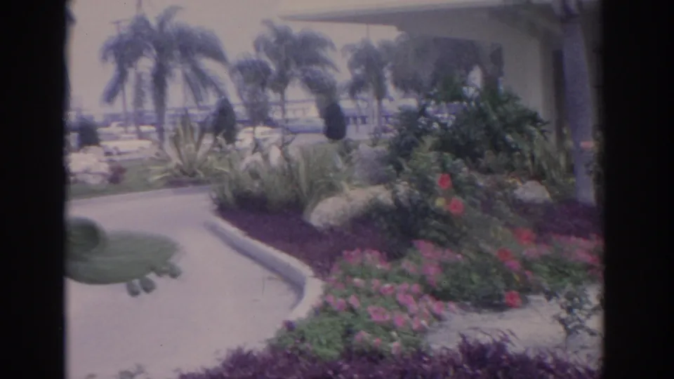 1962 Florida 8mm frame of a curving walkway through palm-lined landscaping with flowering beds and a building in the background.