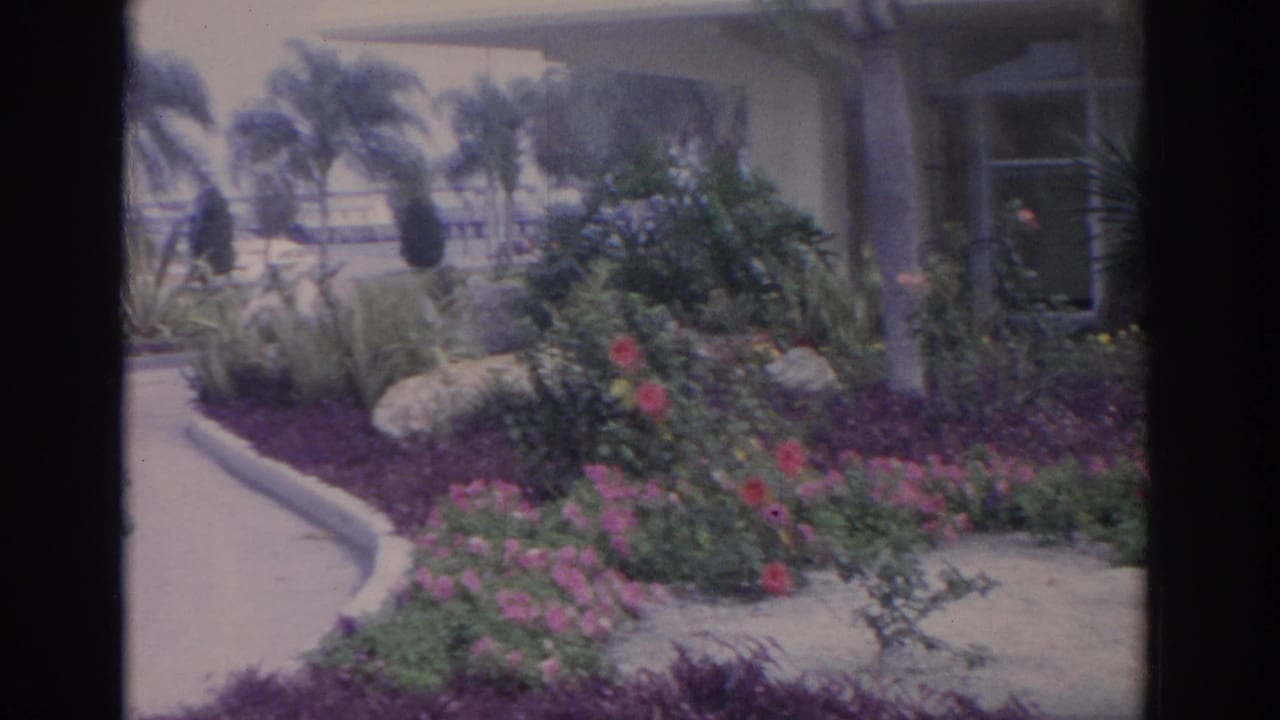 Curved walkway beside flower beds and tropical plantings in front of a light-colored building.