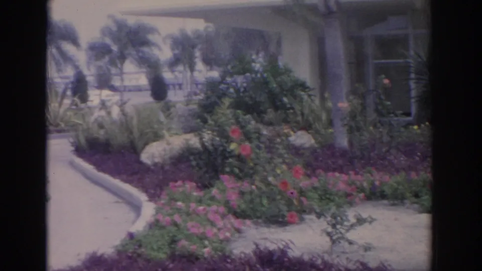 1962 Florida 8mm frame showing a sunny landscaped frontage with flowers, palms, rocks, windows, and a curved concrete path.