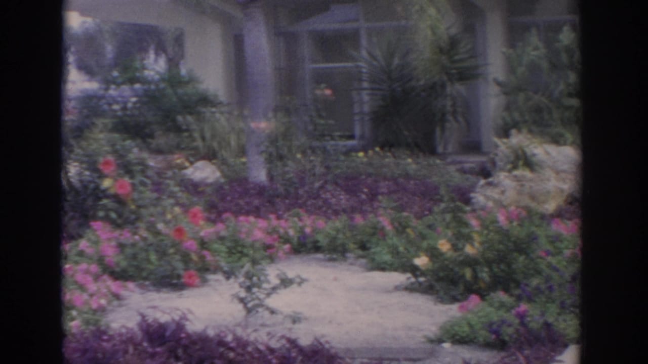 Flowering garden beds and tropical plants frame windows and columns on a building exterior.