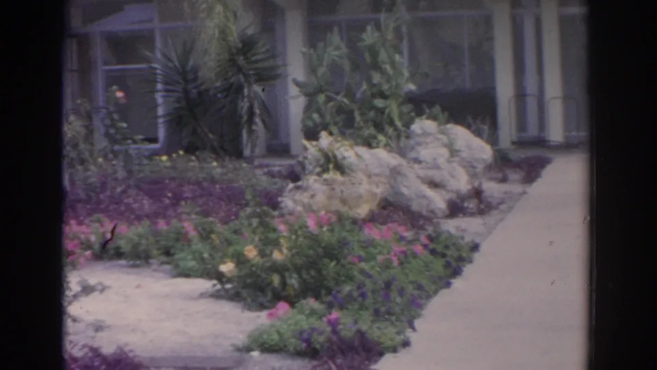 1962 Florida 8mm frame showing decorative rocks, low flowers, tropical plants, and a walkway near a building entrance area.