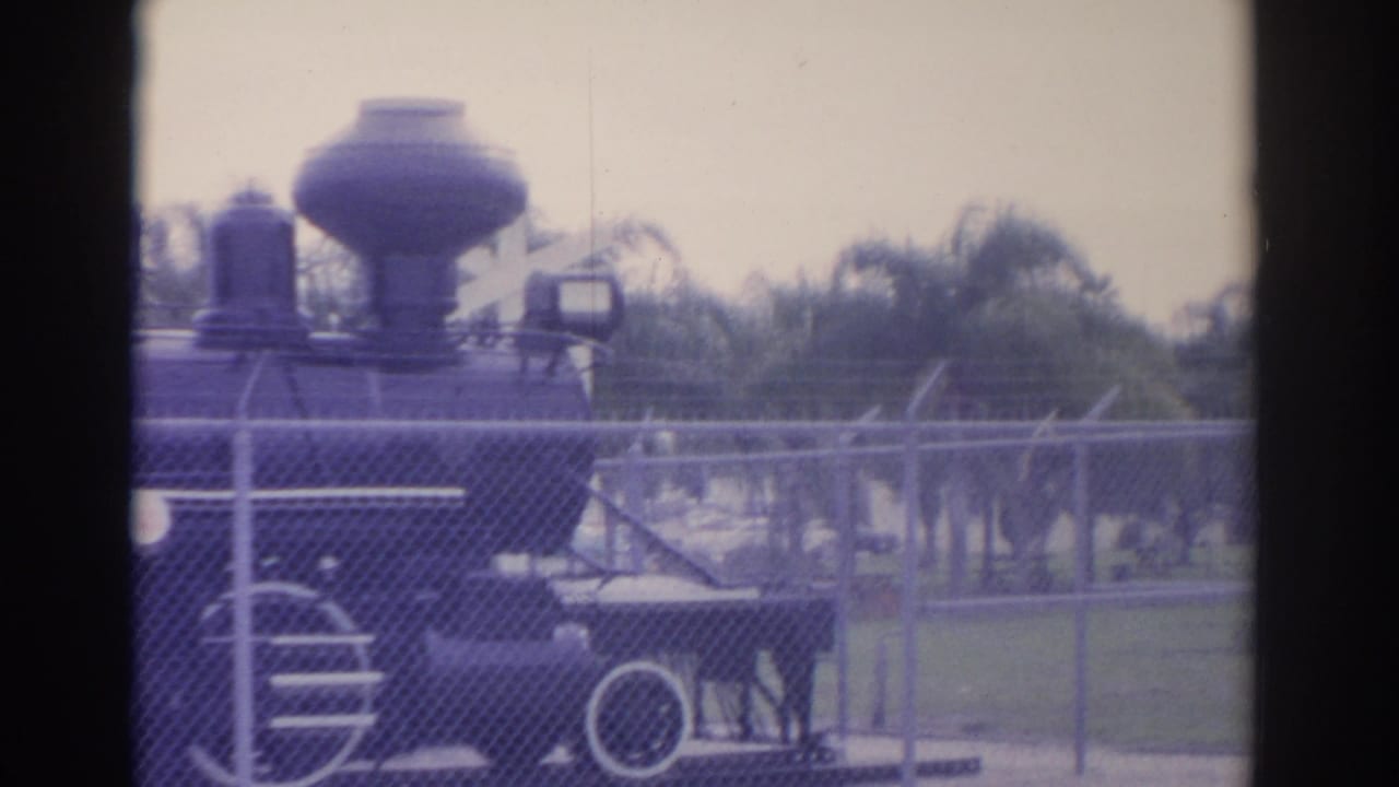 Black steam train replica behind chain-link fence with palm trees in the background.