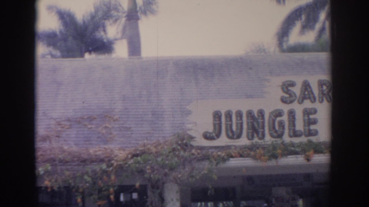 Partial Sarasota Jungle Gardens sign behind palms and entrance planting.