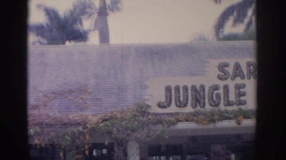1962 Florida home-movie frame showing part of the Sarasota Jungle Gardens entrance sign with palm trees and foliage.