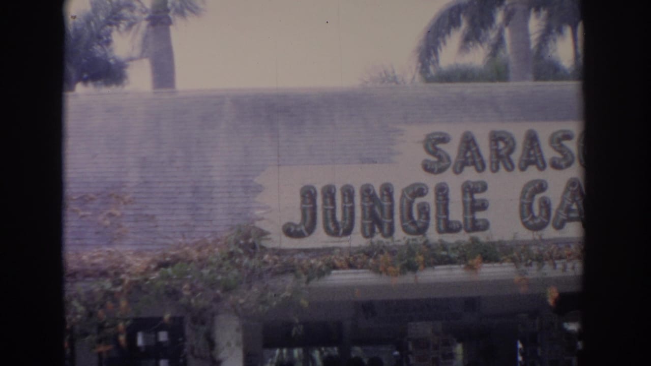 Cropped 1962 Florida view of the Sarasota Jungle Gardens sign above the entrance structure and landscaping.