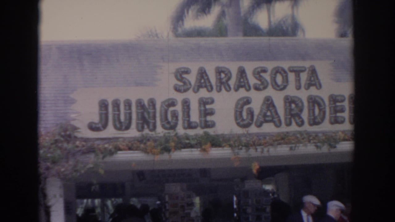 1962 Florida frame showing the Sarasota Jungle Gardens entrance sign with visitors in hats near the gate below.
