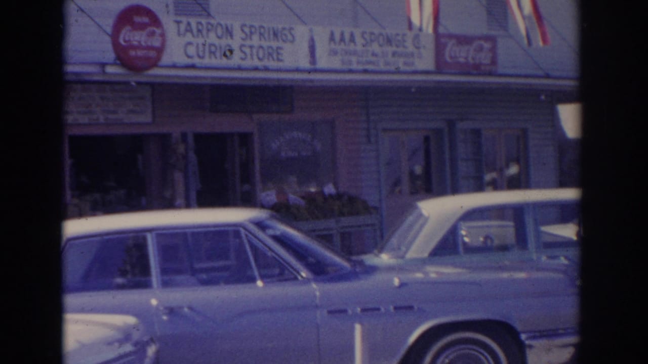 Parked blue car in front of Tarpon Springs Curio Store signage.