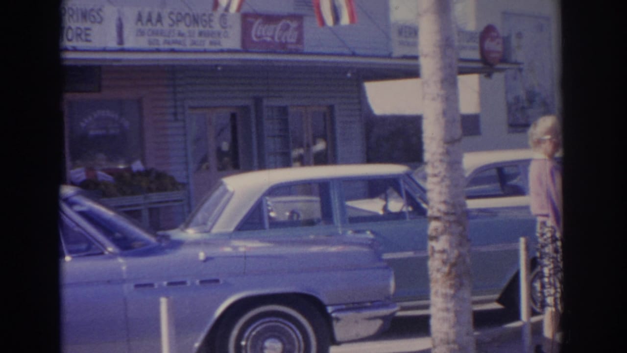 1962 Florida home-movie frame showing a parked car along the curb, a palm trunk in the foreground, shop signage, Coca-Cola branding, and an older woman partly visible at right.