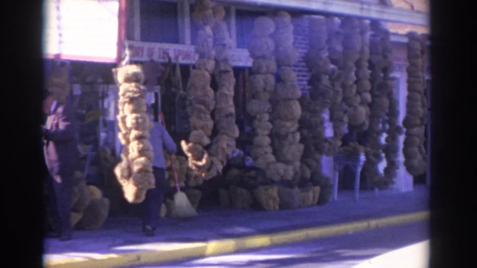 1962 Florida street view with pedestrians near a storefront displaying large dried sponges and a partial sign.