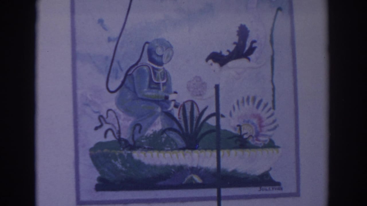 Framed diver artwork repeated, with sea plants, fish, and a visible signature.