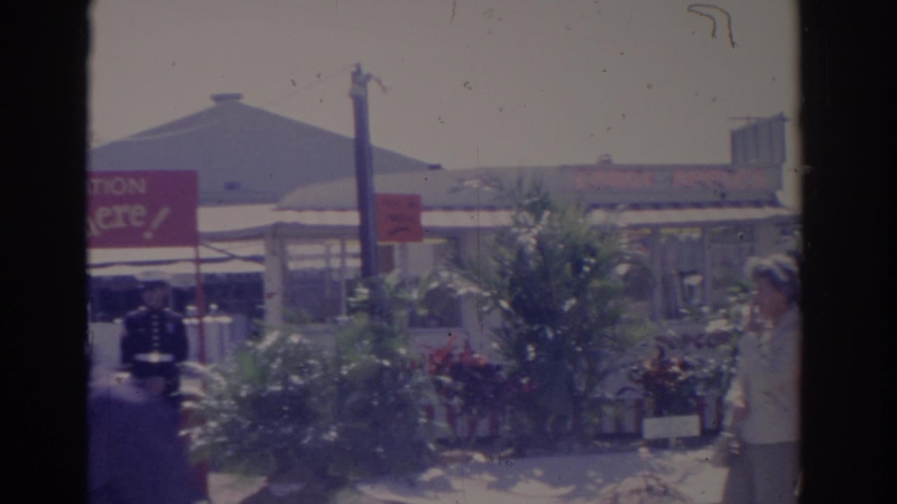 1962 Florida fairground view with visitors walking near planted displays, vendor structures, and partially visible signs.