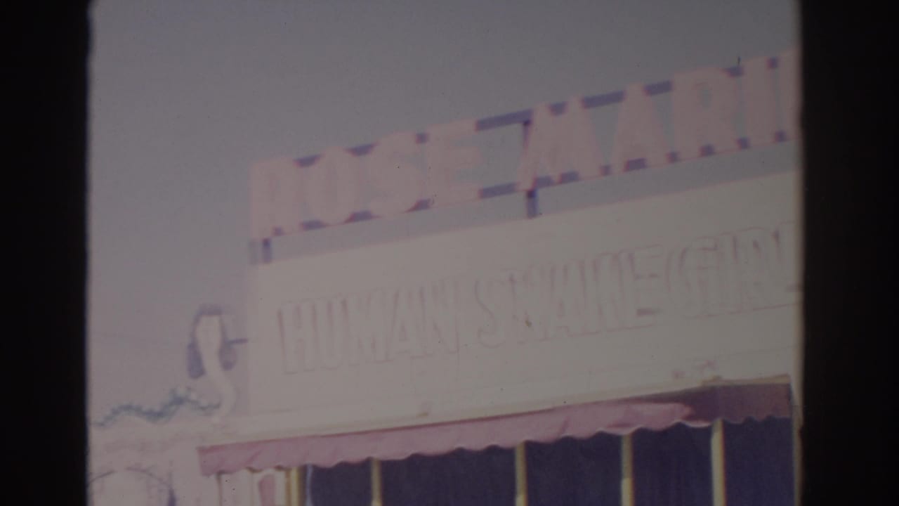 1962 Florida 8mm frame showing a bright, faded roadside carnival sign with partial Rose Marie lettering and a snake motif.