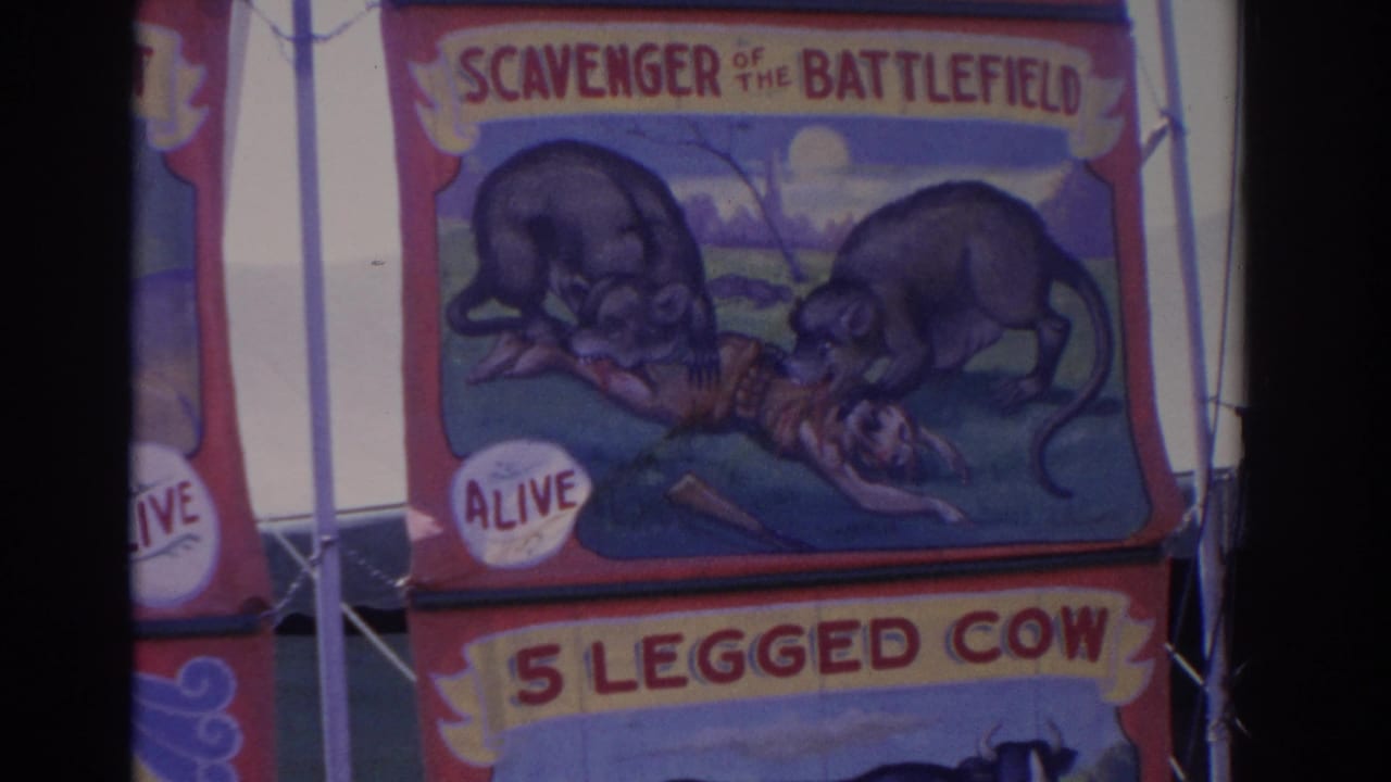 Close view of a carnival sideshow panel with painted animals and readable text for SCAVENGER OF THE BATTLEFIELD and 5 LEGGED COW.
