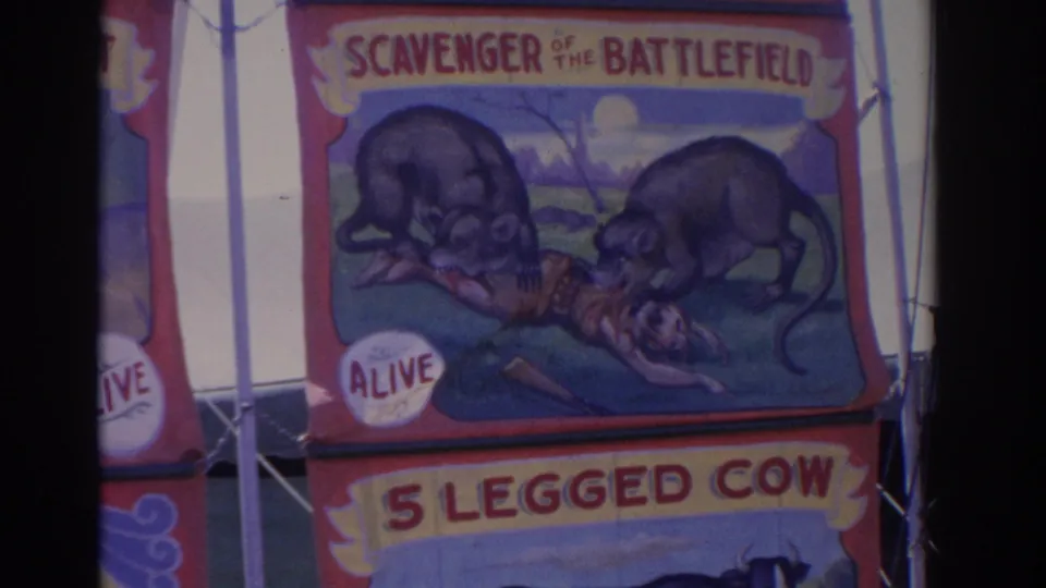 Close view of a carnival sideshow panel with painted animals and readable text for SCAVENGER OF THE BATTLEFIELD and 5 LEGGED COW.