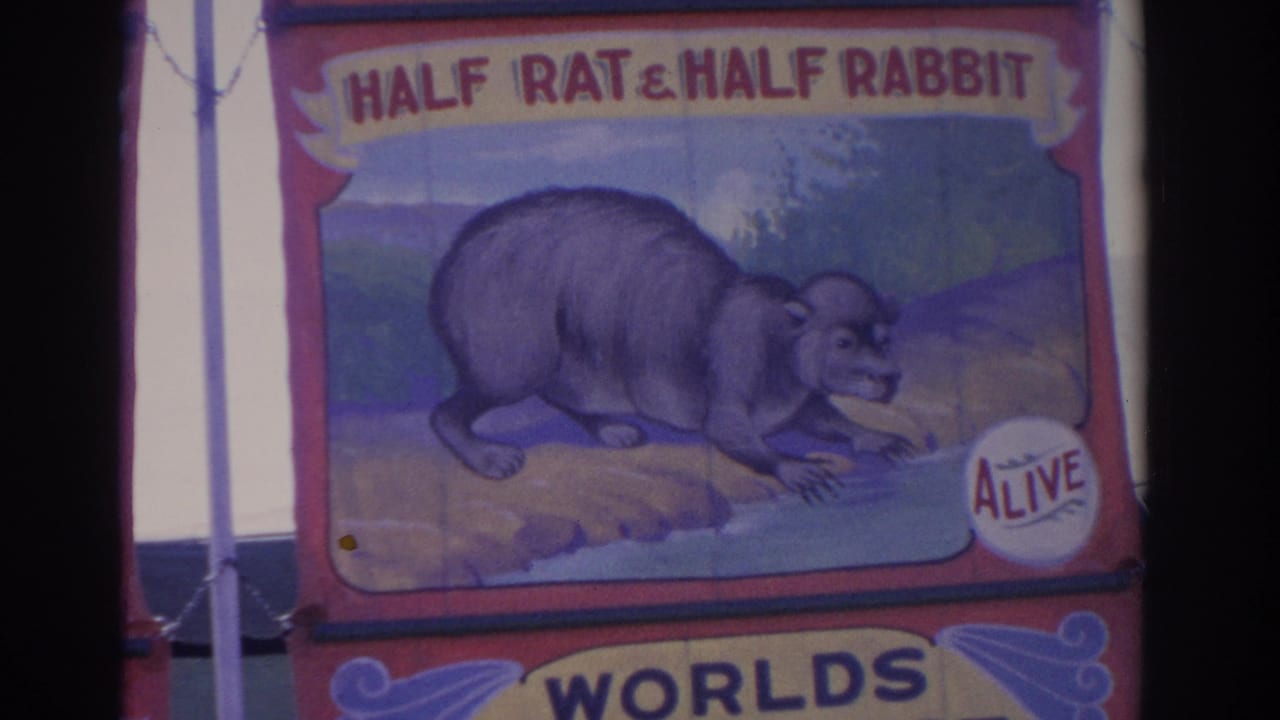 1962 Florida 8mm frame focused on a painted Half Rat & Half Rabbit sideshow banner marked ALIVE.