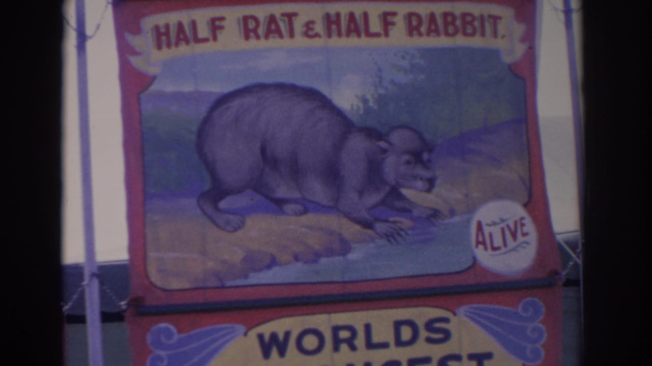 1962 Florida 8mm frame showing the Half Rat & Half Rabbit sideshow banner with faded color and partial Worlds lettering below.