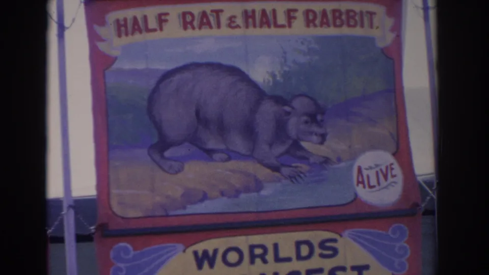 1962 Florida 8mm frame showing the Half Rat & Half Rabbit sideshow banner with faded color and partial Worlds lettering below.