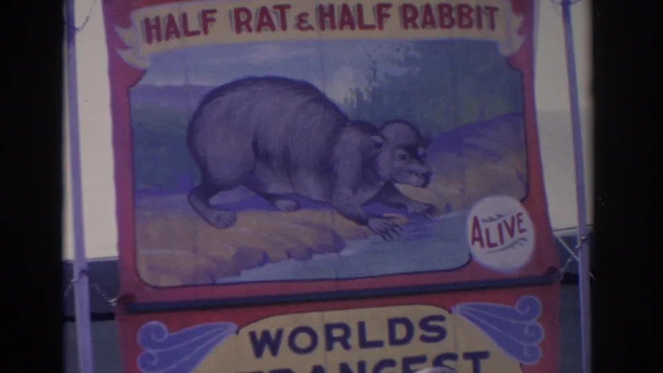 1962 Florida 8mm frame repeating the Half Rat & Half Rabbit banner, with partial Worlds Greatest text visible below.