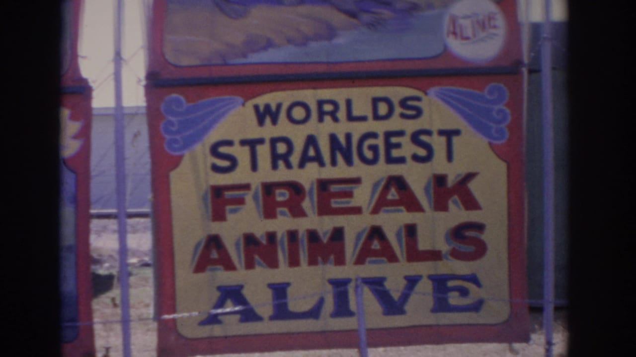 Colorful 1962 Florida carnival sign for Worlds Strangest Freak Animals Alive, framed by red borders and vertical bars.