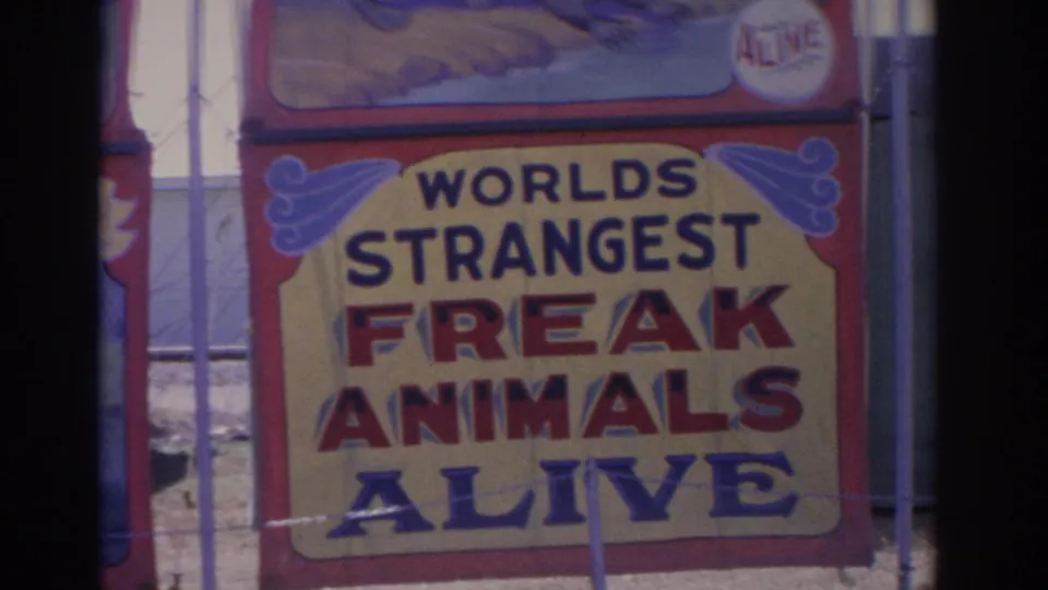 Colorful 1962 Florida carnival sign for Worlds Strangest Freak Animals Alive, framed by red borders and vertical bars.