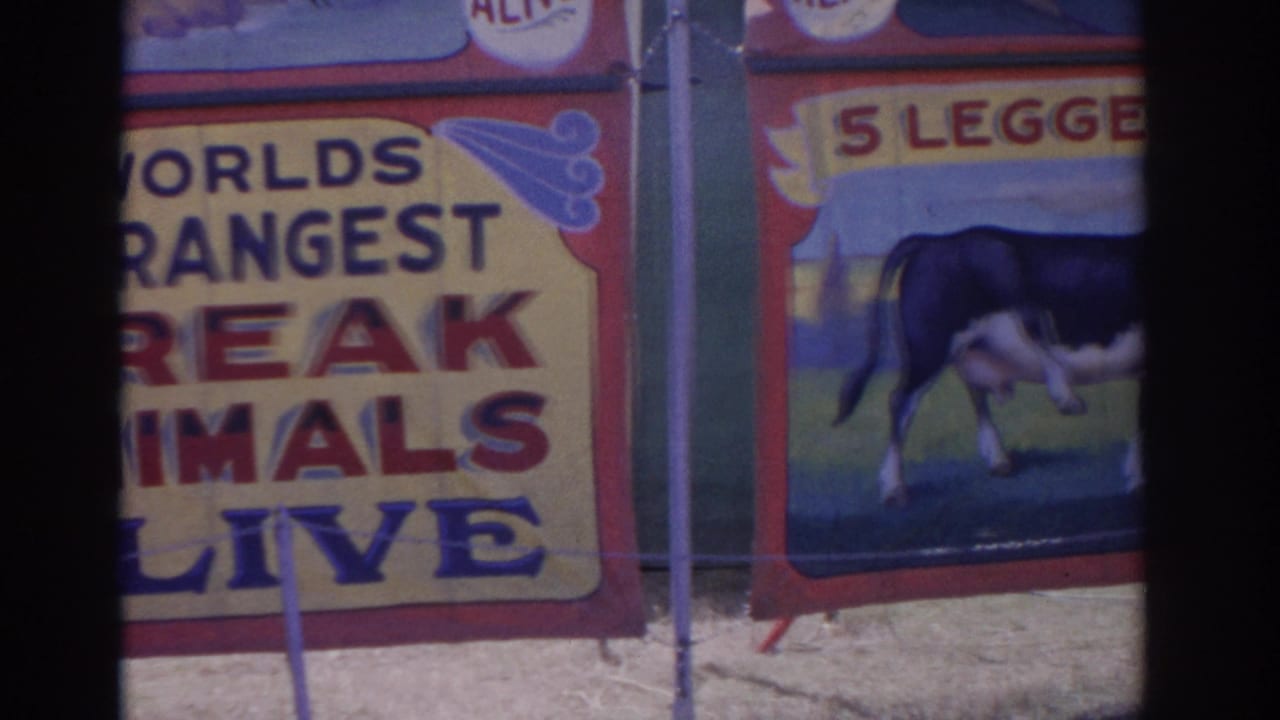 1962 Florida 8mm frame of a sideshow sign and adjacent painted panel advertising a five-legged bovine attraction.