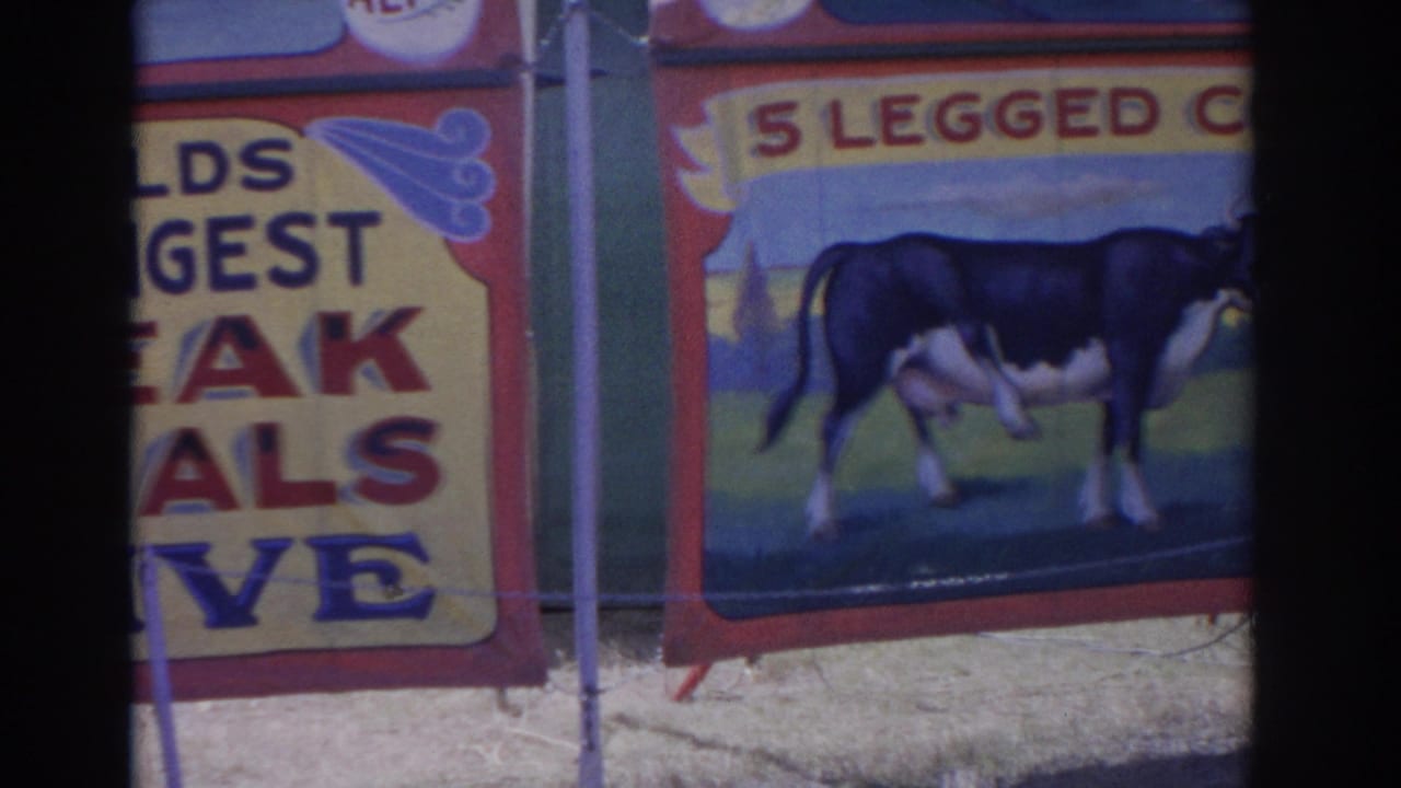Partial circus banners with a painted five-legged cow sign and cropped freak show lettering.