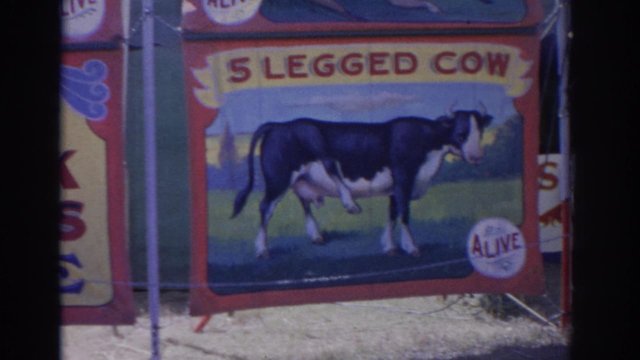 Florida 1962 frame centered on a red sideshow banner advertising a painted five-legged cow with an ALIVE badge.