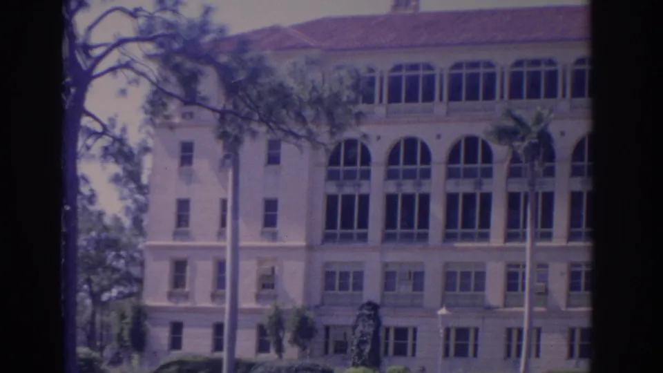 Final 1962 Florida home-movie frame showing the school building exterior, pine branches, poles, and bright faded daylight color.