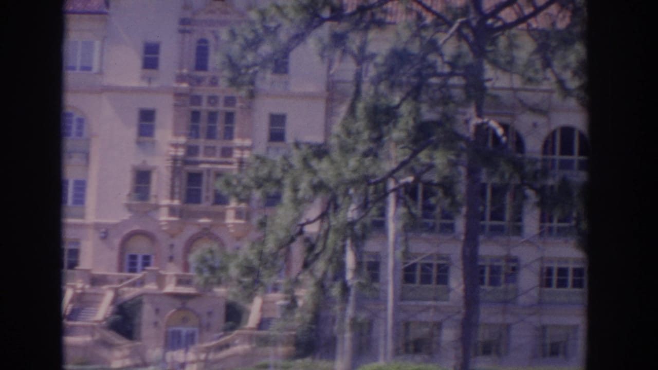 Large pale building with arched windows partly obscured by pine branches.