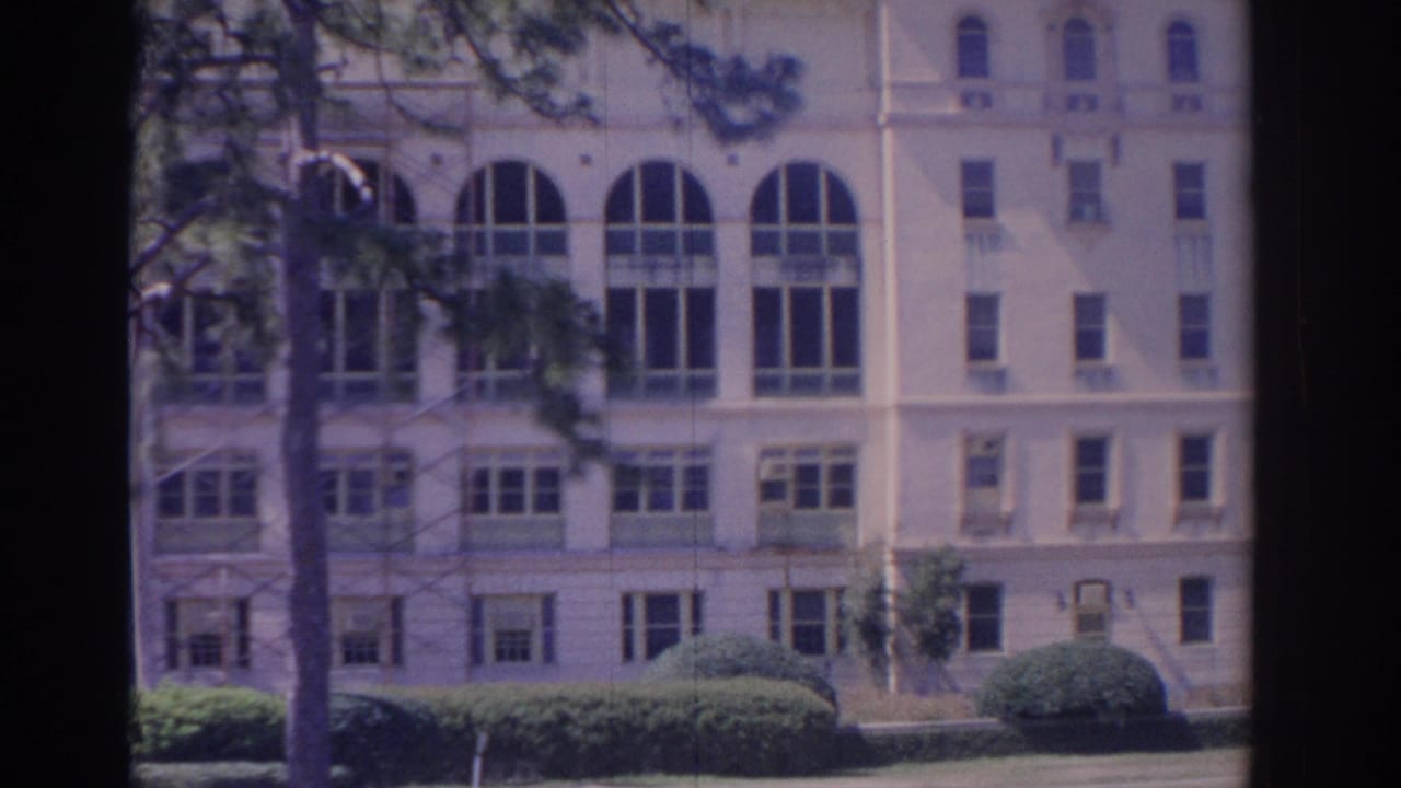 Pale multi-story building with arched windows, shrubs, lawn, and a tree at the left edge.