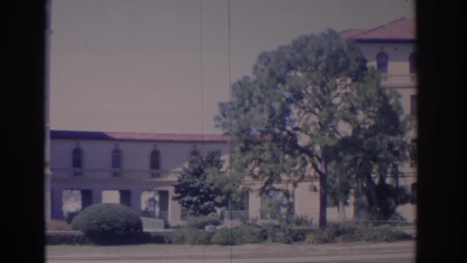 1962 Florida exterior frame with a mature tree in front of a pale building wing, trimmed landscaping, red tile roofline, and paved drive.