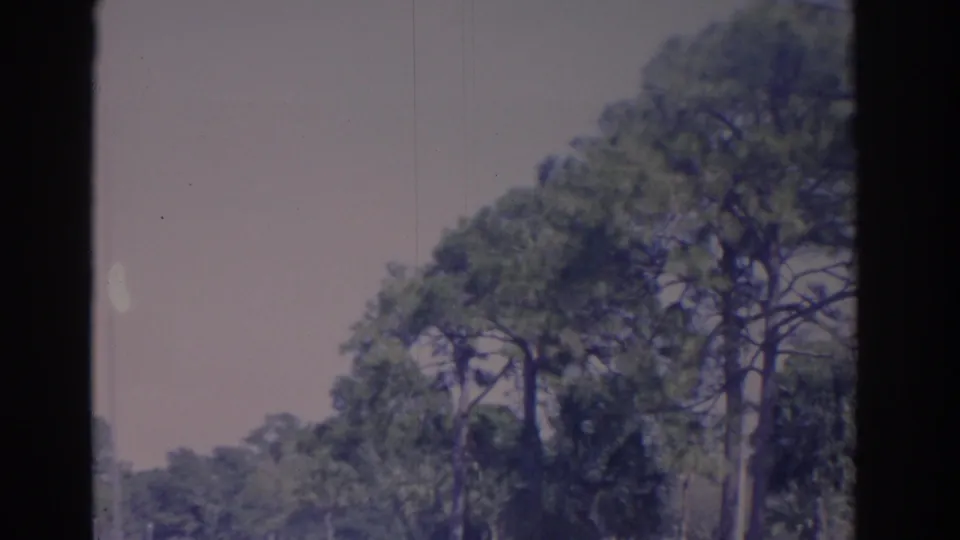 1962 Florida frame with tall pine trees, open sky, and campus-like landscaping seen from a handheld 8mm viewpoint.