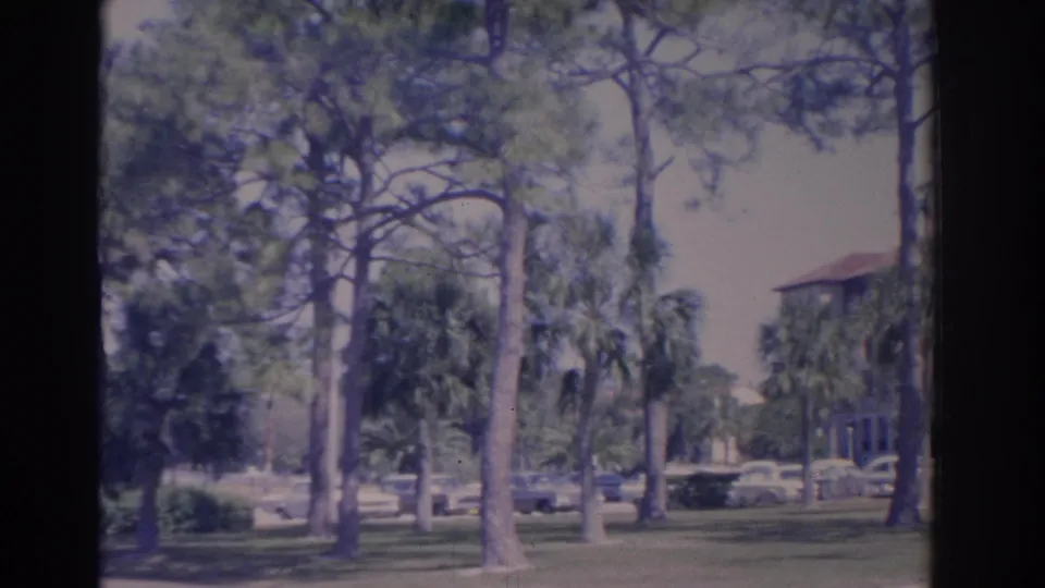 1962 Florida frame showing pines, palms, lawn, parked mid-century cars, and a partial institutional building at the right edge.