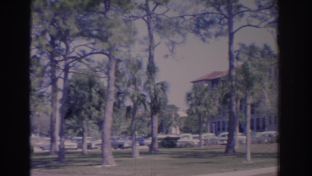 Campus lawn with pine trees, palms, parked cars, and part of a red-roofed building.