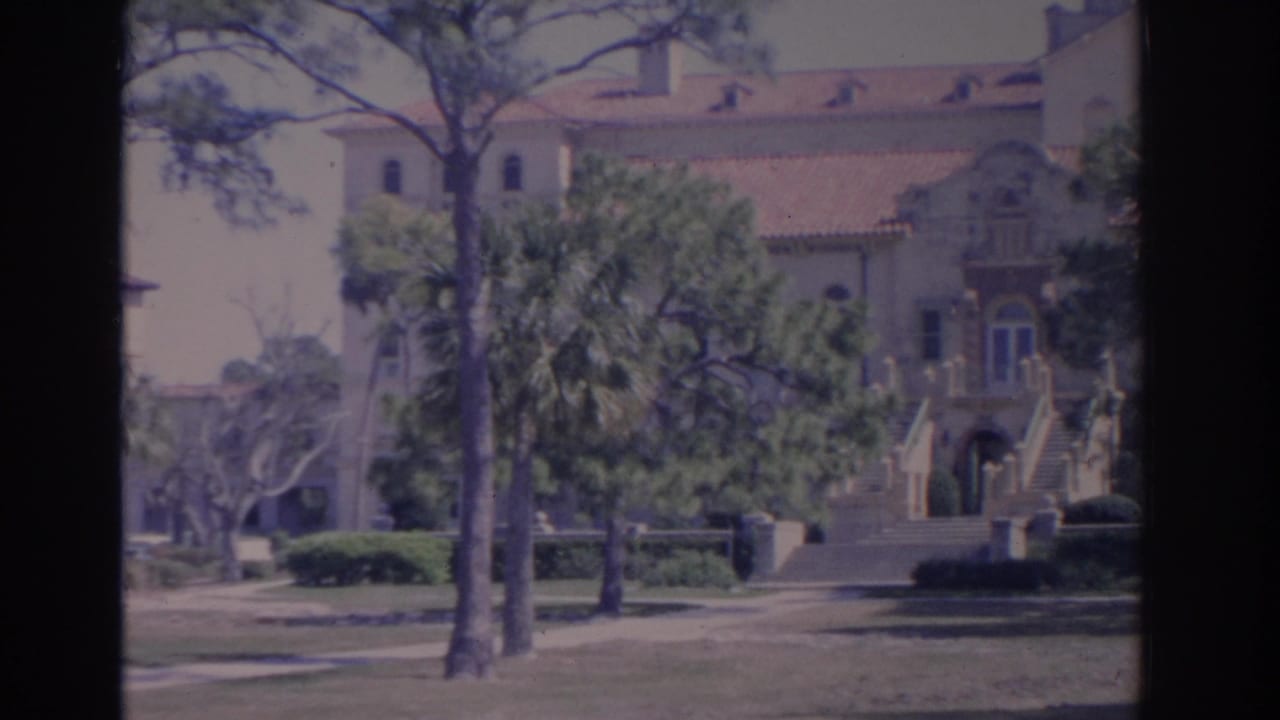 Ornate building entrance and staircases partly framed by trees and lawn.