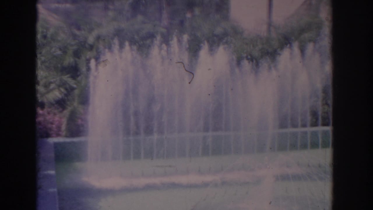 Fountain jets rising in front of shrubs and garden planting.
