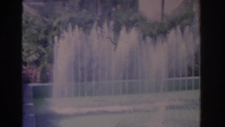 1962 Florida 8mm frame showing tall fountain jets against dense greenery and landscaped planting.