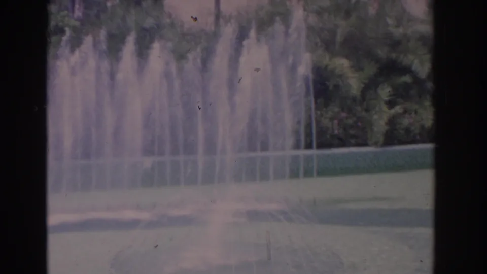 1962 Florida 8mm frame with fountain spray, a green lawn edge, and dense garden foliage.