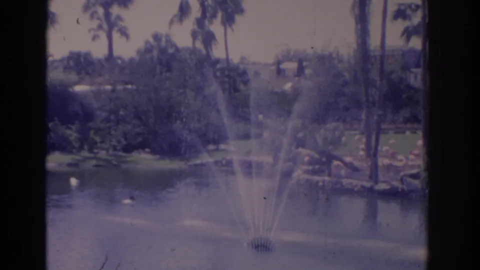 1962 Florida home-movie frame showing a pond fountain with palms, shrubs, and water reflections.