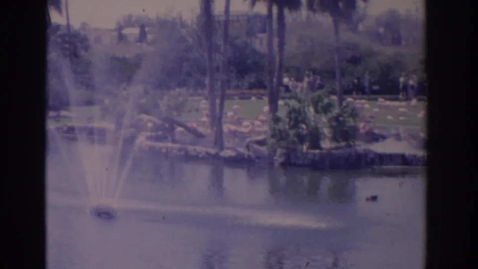 1962 Florida 8mm frame of a fountain beside a landscaped island, with flamingos on the grass and distant visitors along the path.