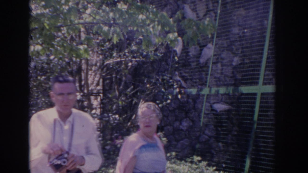 Man holding a camera and woman walking beside a wire bird enclosure.