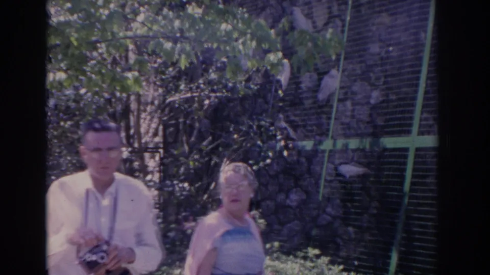 1962 Florida home-movie frame showing a man with a camera and a woman beside a green wire enclosure with birds behind it.