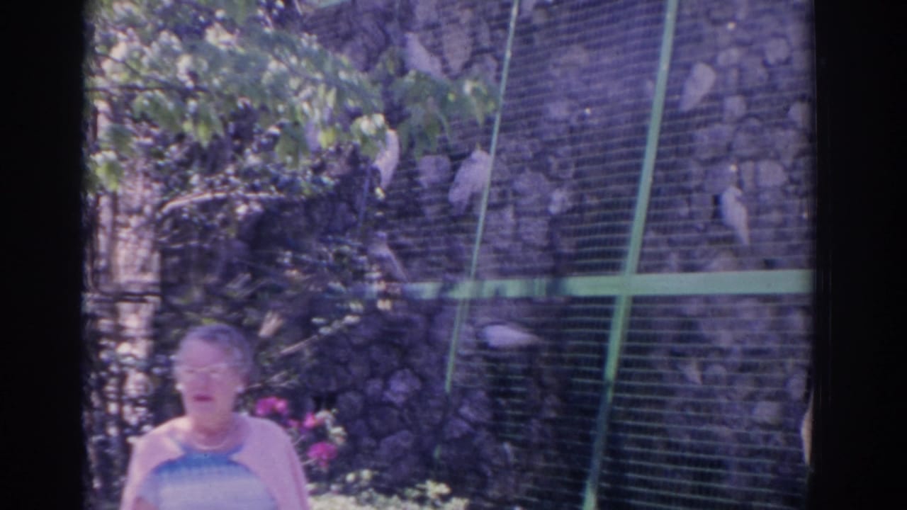 Woman near a green wire mesh enclosure with white birds perched inside.