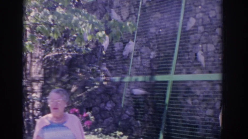 1962 Florida frame with a woman in front of a green mesh aviary, white birds perched against a stone-wall backdrop.