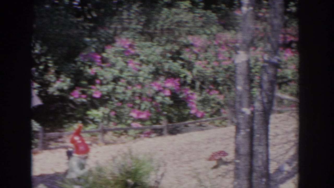 Garden gnome and mushroom ornament near trees, pink flowers, gravel, and a small fence.