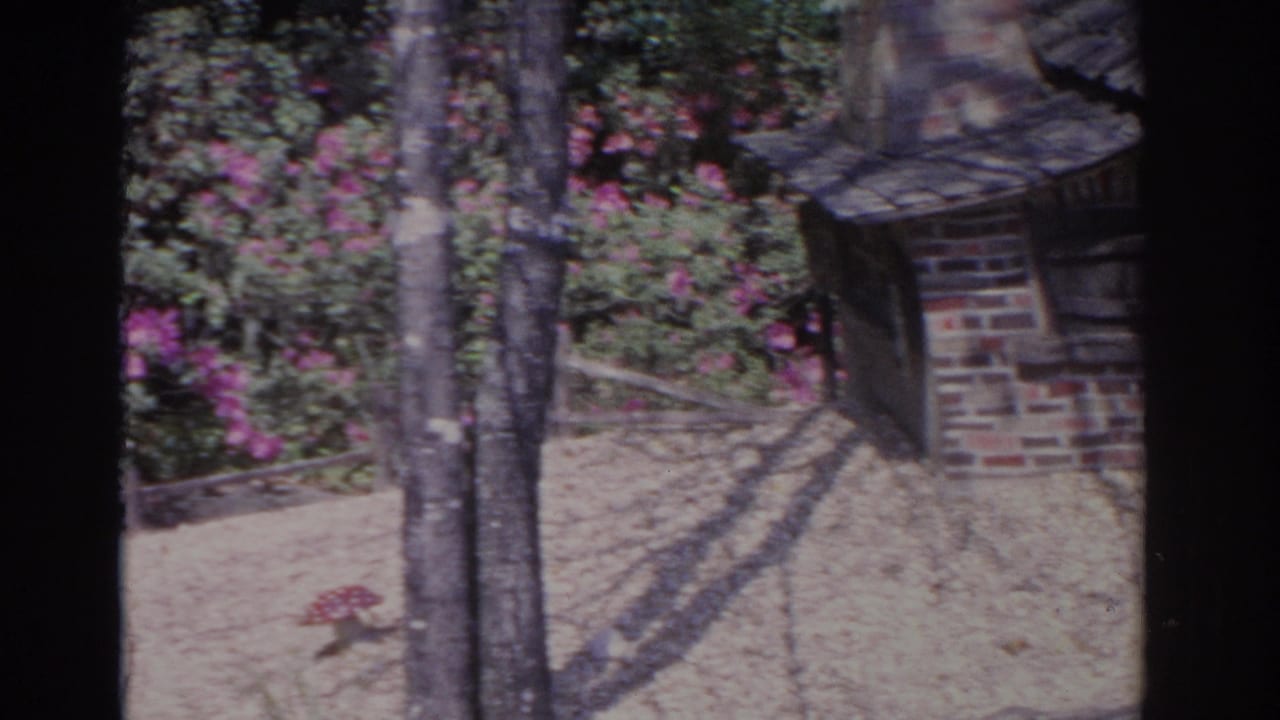 Trees and flowering shrubs beside part of a small brick cottage roof and wall.
